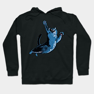 Crazy cat! Hoodie